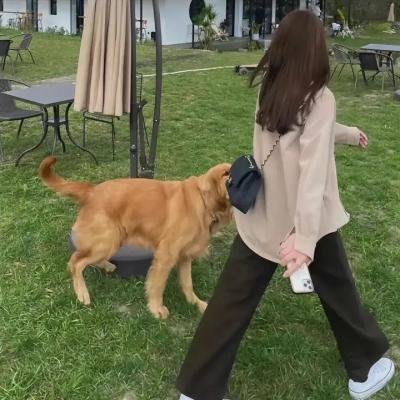 没有名字的人